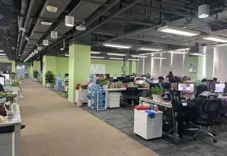 苗木绿化工程公司