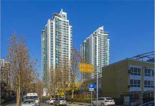 静安区专业猫咪定制选购价格