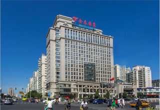 吴中区异形藤编树叶